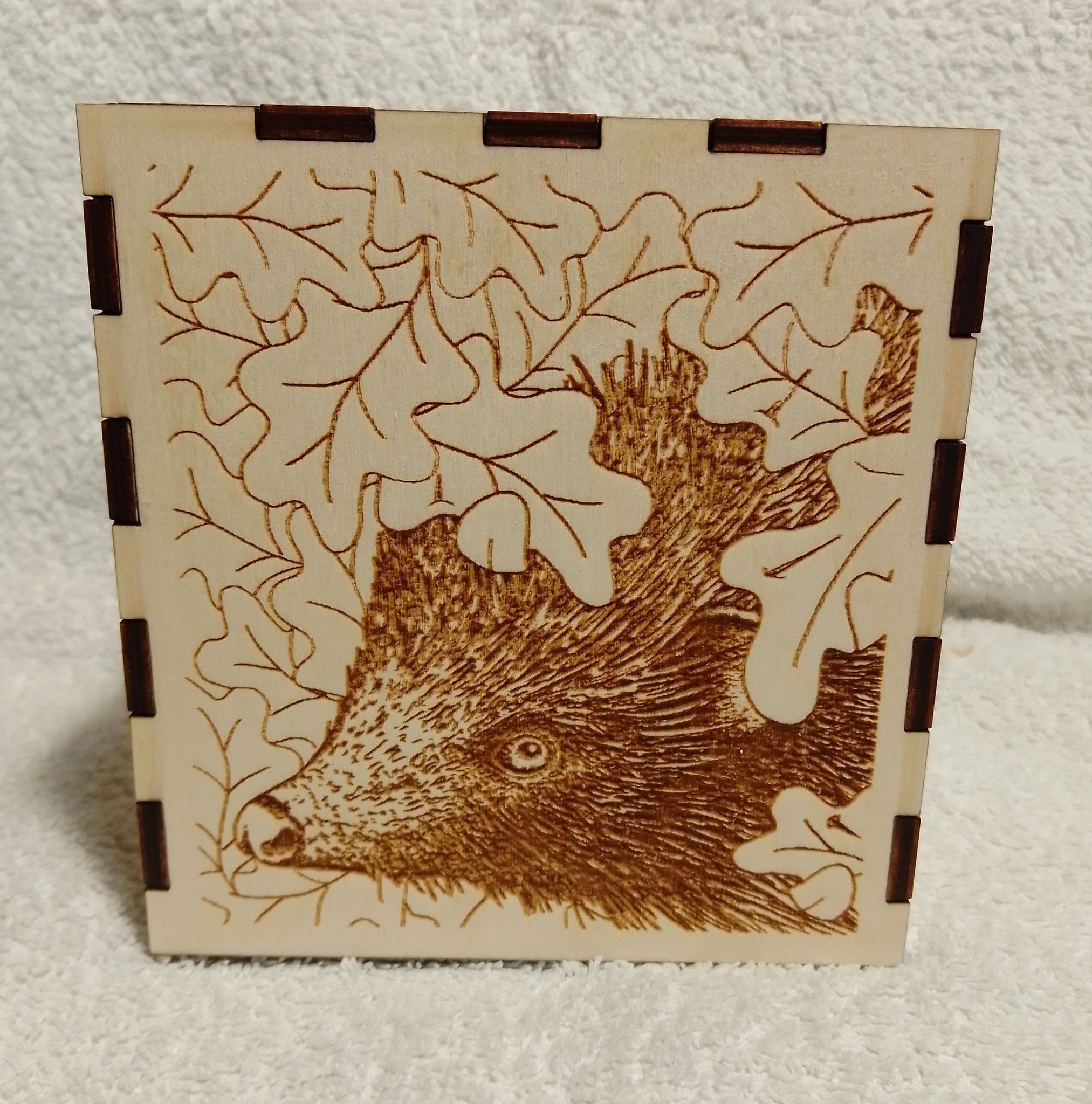 Hedgehog Tissue Box Cover