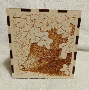 Hedgehog Tissue Box Cover